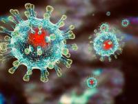 Меры по предупреждению коронавирусной инфекции в ДОУ.